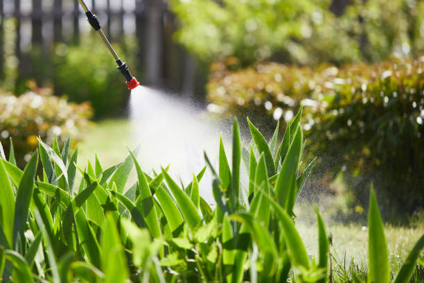 24/7 Emergency Ant Control experts in Lebanon, VA