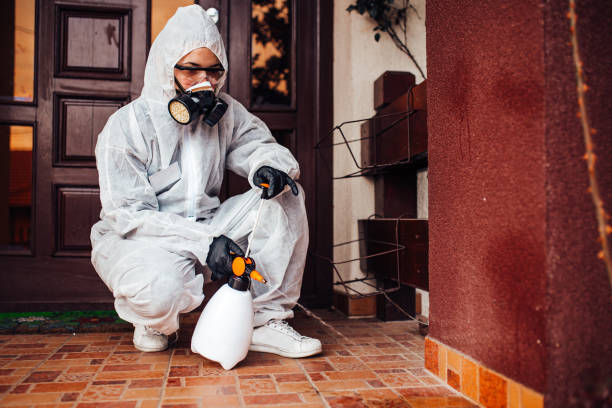 Reliable Ant Control contractor in Lebanon, VA by Nex Pest Control