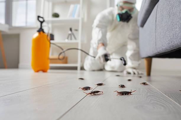 Trusted Emergency Pest Control service in Lebanon, VA - Nex Pest Control
